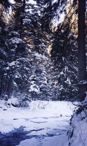 Preview wallpaper winter, forest, snow, trees