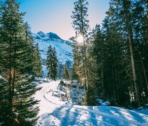 Preview wallpaper winter, forest, snow, trees, path, turn