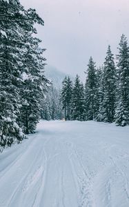 Preview wallpaper winter, forest, snow, trees, road, traces