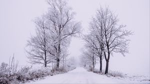 Preview wallpaper winter, forest, trees, snow, road, fog