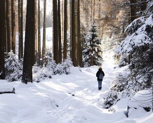 Preview wallpaper winter, forest, walk, snow, trees, solitude