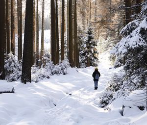 Preview wallpaper winter, forest, walk, snow, trees, solitude