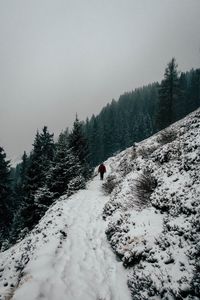 Preview wallpaper winter, hill, snow, trees