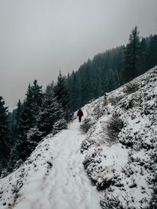 Preview wallpaper winter, hill, snow, trees