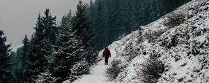 Preview wallpaper winter, hill, snow, trees