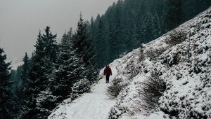 Preview wallpaper winter, hill, snow, trees