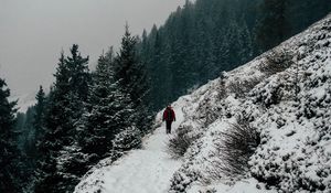 Preview wallpaper winter, hill, snow, trees