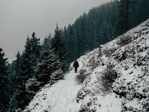 Preview wallpaper winter, hill, snow, trees