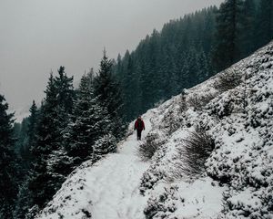 Preview wallpaper winter, hill, snow, trees