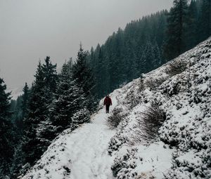 Preview wallpaper winter, hill, snow, trees