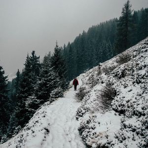 Preview wallpaper winter, hill, snow, trees