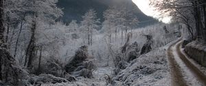 Preview wallpaper winter, hoarfrost, gray hair, road, country, gloomy, cold, melancholy