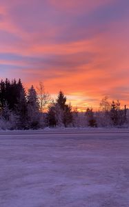 Preview wallpaper winter, horizon, dawn, snow, trees, sky, sunrise