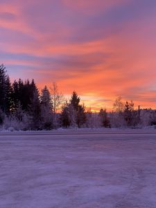 Preview wallpaper winter, horizon, dawn, snow, trees, sky, sunrise