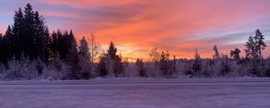 Preview wallpaper winter, horizon, dawn, snow, trees, sky, sunrise