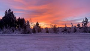 Preview wallpaper winter, horizon, dawn, snow, trees, sky, sunrise