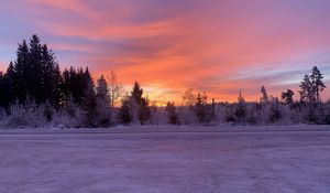 Preview wallpaper winter, horizon, dawn, snow, trees, sky, sunrise