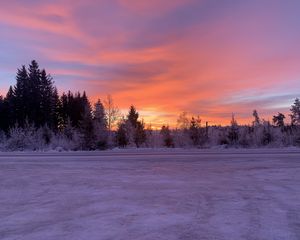 Preview wallpaper winter, horizon, dawn, snow, trees, sky, sunrise