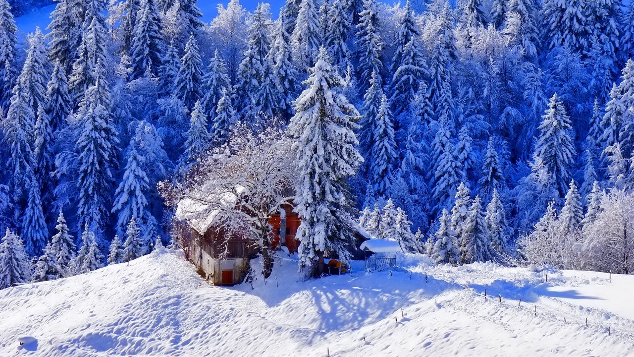 Wallpaper winter, house, hill, snow, trees