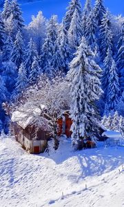 Preview wallpaper winter, house, hill, snow, trees