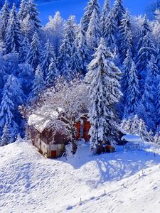 Preview wallpaper winter, house, hill, snow, trees