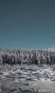 Preview wallpaper winter, house, snow, trees, horizon, sky