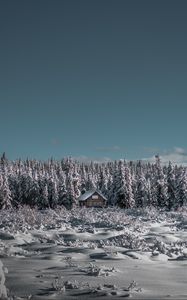 Preview wallpaper winter, house, snow, trees, horizon, sky