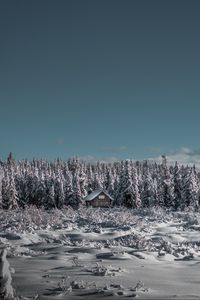 Preview wallpaper winter, house, snow, trees, horizon, sky