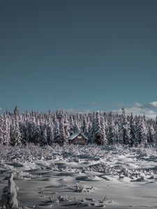 Preview wallpaper winter, house, snow, trees, horizon, sky