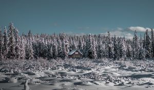 Preview wallpaper winter, house, snow, trees, horizon, sky