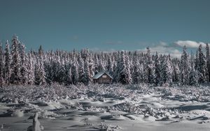 Preview wallpaper winter, house, snow, trees, horizon, sky