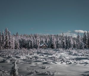 Preview wallpaper winter, house, snow, trees, horizon, sky
