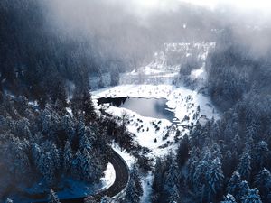 Preview wallpaper winter, lake, forest, road