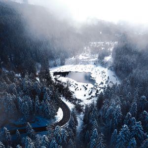 Preview wallpaper winter, lake, forest, road