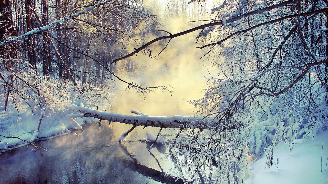 Wallpaper winter, lake, tree, snow, steam, morning