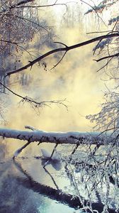 Preview wallpaper winter, lake, tree, snow, steam, morning