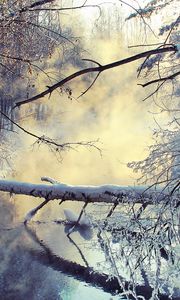 Preview wallpaper winter, lake, tree, snow, steam, morning