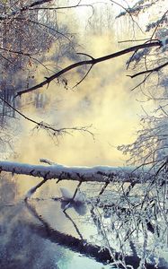Preview wallpaper winter, lake, tree, snow, steam, morning