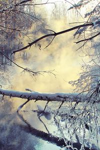 Preview wallpaper winter, lake, tree, snow, steam, morning