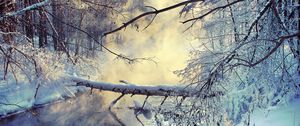 Preview wallpaper winter, lake, tree, snow, steam, morning