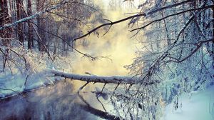 Preview wallpaper winter, lake, tree, snow, steam, morning