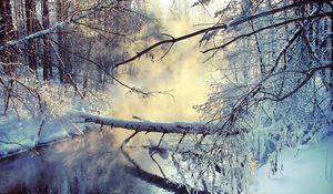 Preview wallpaper winter, lake, tree, snow, steam, morning