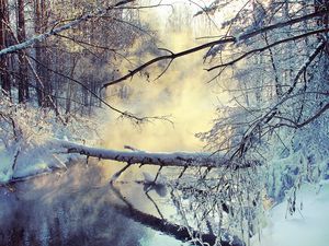 Preview wallpaper winter, lake, tree, snow, steam, morning