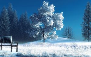 Preview wallpaper winter, landscape, nature, snow, bench, trees