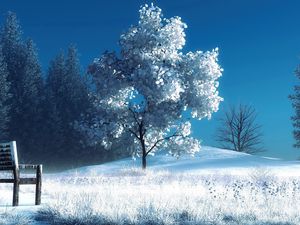 Preview wallpaper winter, landscape, nature, snow, bench, trees