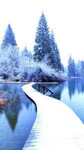 Preview wallpaper winter, landscape, pier, lake, spruces, trees