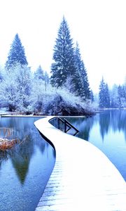 Preview wallpaper winter, landscape, pier, lake, spruces, trees