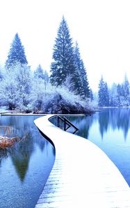 Preview wallpaper winter, landscape, pier, lake, spruces, trees