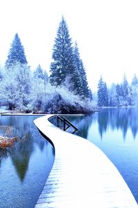 Preview wallpaper winter, landscape, pier, lake, spruces, trees