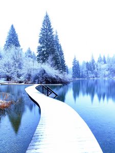 Preview wallpaper winter, landscape, pier, lake, spruces, trees